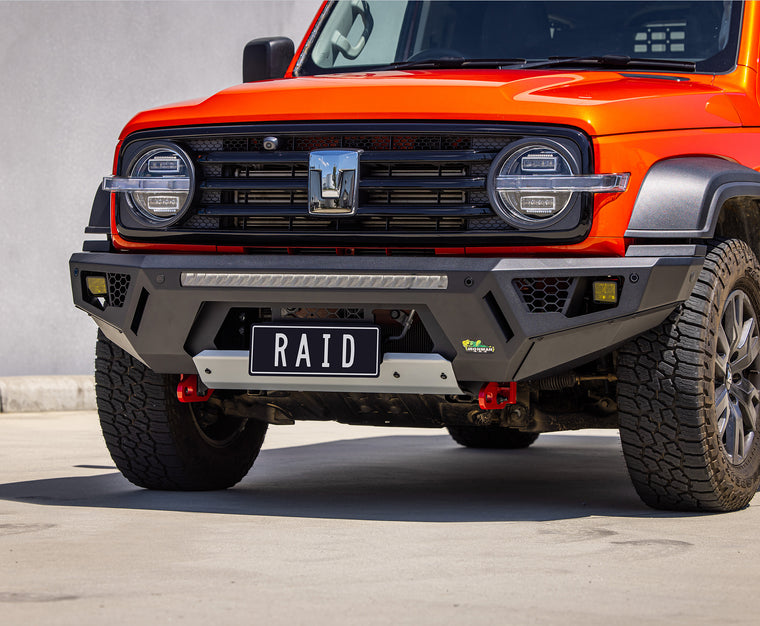 Raid Bull Bar & Lights Kit