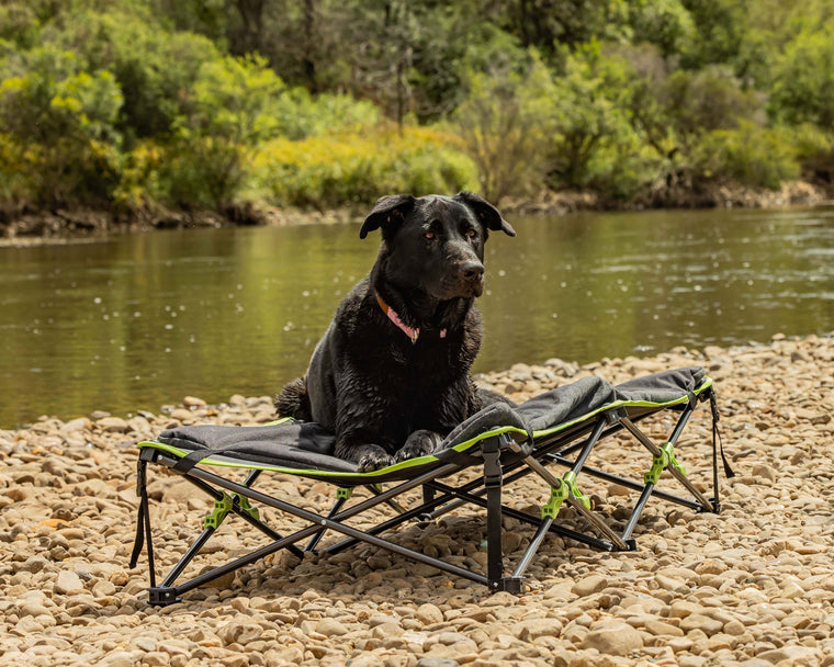 Foldable Dog Bed Extra Large