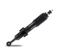 Nitro Gas Strut Shock Absorber - Performance