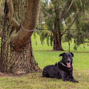 The Pet Roamer Tethering System