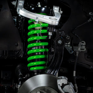 COIL SPRINGS (SPECIAL, GREEN)